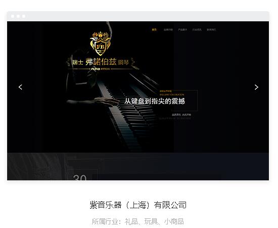 紫音乐器（上海）有限公司1.jpg